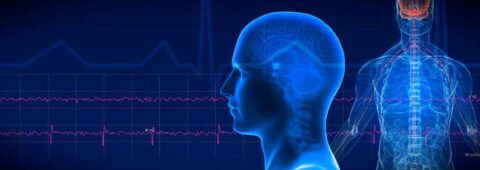 Pelvic NeuroScience