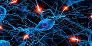 Neuro-Urology